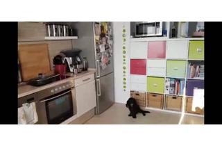 Wohnung mieten in Spitalstraße, 64807 Dieburg, 2-Zimmer Wohnung Stadtmitte Dieburg