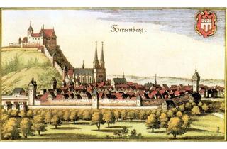 Wohnung mieten in Hirschplan, 71083 Herrenberg, Schöne 2 Zi. Wohnung + 1 Zi. Büro, 82m²,Stadtmitte,Denkmalschutz / Historisch!