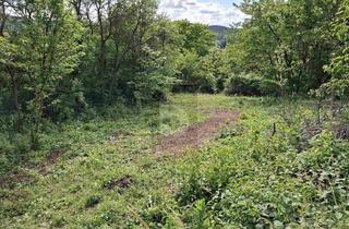Grundstück zu kaufen in 96170 Priesendorf, TRAUMSTÜCK IN DER FRÄNKISCHEN LANDSCHAFT