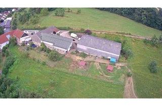 Bauernhaus kaufen in 66663 Merzig, Merzig - Investoren AUFGEPASST ehemaliger Bauernhof mit Bauvoranfrage zur Umnutzung und Wohnungsbau