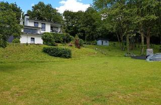 Einfamilienhaus kaufen in 32760 Detmold, Detmold - Einfamilienhaus