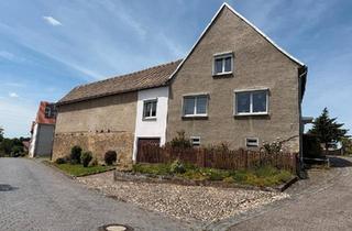 Einfamilienhaus kaufen in 06268 Querfurt, Querfurt - Haus mit Scheune & Innenhof in Nemsdorf - viel Platz für Ideen