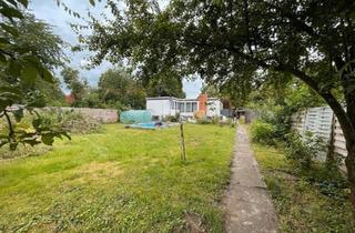 Einfamilienhaus kaufen in 39397 Gröningen, Gröningen - Großzügiges Haus - großes Grundstück u. Vollkeller