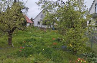 Einfamilienhaus kaufen in Wacholderheide 50, 12623 Berlin, Berlin Mahlsdorf Nord - Einfamilienhaus Grundstück 1019m2