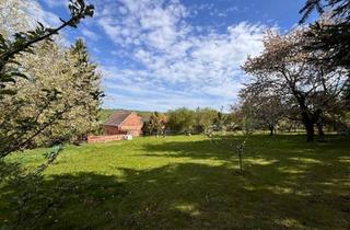 Haus kaufen in 07616 Bürgel, Bürgel - Charmanter Dreiseitenhof mit großem Grundstück