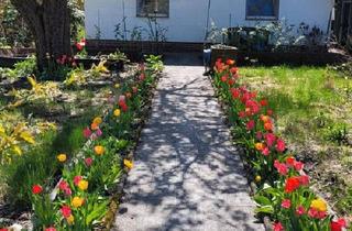 Haus kaufen in 13159 Berlin, Berlin - Charmanter Steinbungalow 75qm, 513qm Pachtgarten in Gartenanlage