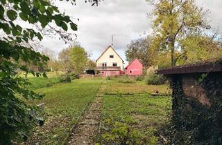 Einfamilienhaus kaufen in 76831 Ilbesheim, Ilbesheim bei Landau in der Pfalz - Einfamilienhaus in Alleinlage - 4+ Zimmer - 1097m2 Grundstuck