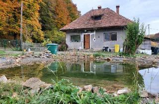 Haus kaufen in 27777 Ganderkesee, Ganderkesee - Haus in Transilvanien zu verkaufen