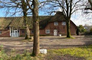 Bauernhaus kaufen in 25923 Süderlügum, Süderlügum - Wohn- und Geschäftshaus mit Einliegerwohnung im Dorfzentrum