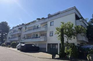 Penthouse kaufen in 76887 Bad Bergzabern, Penthouse-Appartement in Südlage-neuwertig-2022 Komplettrenovierung