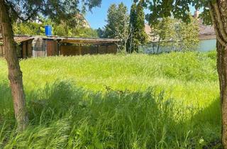 Wohnung mieten in Pfarrgasse, 06193 Brachstedt, Neu sanierte 6-Zimmerwohnung mit Option als Maisonette (zusätzl. 150 qm)!