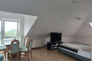 Wohnung mieten in 74653 Künzelsau, Schöne 1-Zimmer-Wohnung in Künzelsau
