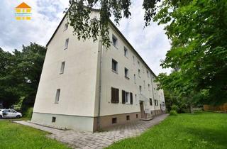Wohnung mieten in Schulstraße 25, 09125 Altchemnitz, Mini?Wohnung, Maxi?Charme – und der Stadtpark ist dein Garten