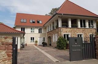 Wohnung mieten in Schäfergasse 26, 65428 Rüsselsheim, Stilvolle, neuwertige 3-Zimmer-Wohnung mit Balkon und EBK in Rüsselsheim