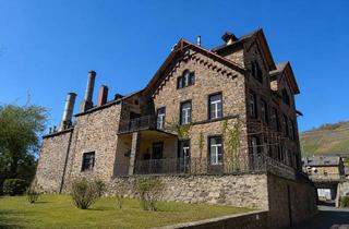 Gewerbeimmobilie kaufen in 56254 Müden, Historisches Mosel-Weingut – Denkmalensemble mit Moselblick und Entwicklungspotenzial