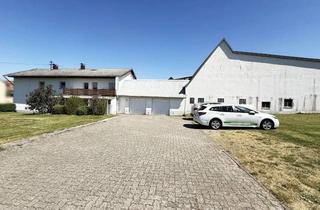 Haus kaufen in Hauptstraße, 76872 Hergersweiler, Hergersweiler: Haus mit massiv gemauerter Halle (ca. 420m²) auf über 2600m² Grundstücksfläche