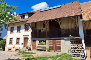 Haus kaufen in 79669 Zell, Zeller Blauen: Wo sich Fuchs und Hase gute Nacht sagen – aber mit Alpenblick !!
