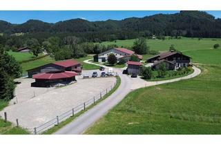 Mehrfamilienhaus kaufen in 88316 Isny, Arbeiten und Leben im Allgäu - attraktive Reitanlage mit großer Reithalle samt Mehrfamilienhaus ohne