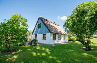 Haus kaufen in 25576 Brokdorf, Eine Deichperle wie aus einem Bilderbuch in Brokdorf
