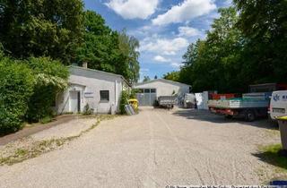 Gewerbeimmobilie mieten in 85276 Pfaffenhofen, Unbeheizte Lagerhalle mit Nebenräumen und Außenfläche in Niederscheyerrn