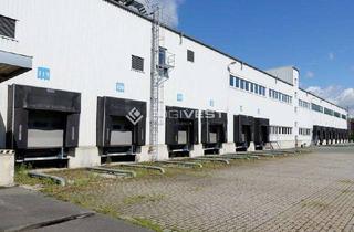 Gewerbeimmobilie mieten in 38644 Goslar, Gewerbehalle mit Hochregal und Kühllagerflächen nahe der Autobahn A369!