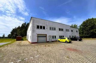 Büro zu mieten in Beckebohnen 11, 31618 Liebenau, Vielseitige Gewerbeimmobilie in Liebenau: Büro, Produktion & Lager mit großem Grundstück