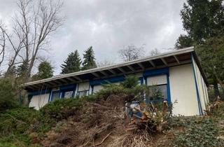 Grundstück zu kaufen in An Der Gessentalstraße, 07551 Gera, Ihr Rückzugsort im Grünen: Grundstück mit Gartenlaube in bester Ruhelage von Gera