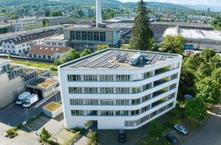 Büro zu mieten in 79539 Lörrach, Repräsentative Bürofläche (Bj. 2020): Klimatisiert, Glasfaser & KNX in zentraler Lage