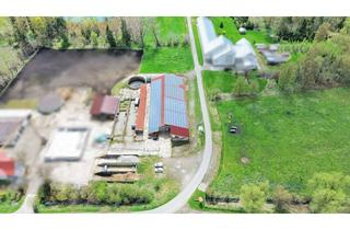 Lager kaufen in 88427 Bad Schussenried, Vielseitige Halle / Viehstall mit 33.300 m² Weidefläche und Photovoltaikanlage