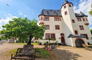 Immobilie mieten in 65366 Geisenheim, Schloss Schönborn – 850 m² Gesamtfläche für Event & Unternehmenssitz
