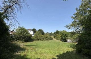 Gewerbeimmobilie kaufen in 35683 Dillenburg, 6.000m² Entwicklungsgrundstück für nicht störende Nutzung