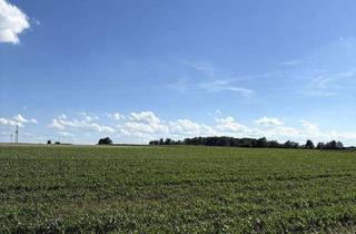 Gewerbeimmobilie kaufen in 86551 Aichach, Ackerfläche in guter Lage - Ideal für Landwirte und Investoren