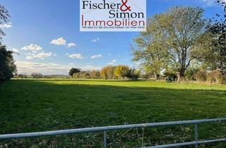 Gewerbeimmobilie kaufen in 31623 Drakenburg, Drakenburg-attraktive Grünlandfläche in der Drakenburger Marsch-leicht zugänglich