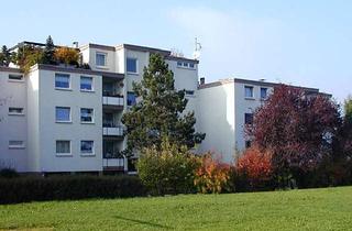 Wohnung mieten in Pfinztalstr. 25, 75210 Keltern, naturnahe 2 -Zimmerwohnung in Keltern-Ellmendingen