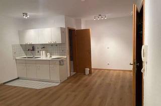 Wohnung mieten in Östringer Straße 17, 76669 Bad Schönborn, Geräumige 1-Zimmer-Wohnung mit ca. 27 qm, Küchenzeile und KFZ-Stellplatz ab sofort zu vermieten!