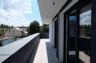 Penthouse mieten in 67550 Herrnsheim, 2-Zimmer Penthouse in ruhiger Lage