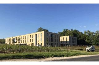 Wohnung mieten in Rheingaustraße 1a, 65375 Oestrich-Winkel, Studentenwohnheim direkt neben der EBS: Zimmer in Wohnheim von privat