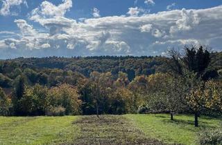 Grundstück zu kaufen in Eiselbergsiedlung 12316, 75203 Königsbach-Stein, Grundstück im Hüttengebiet der Steiner Eiselberg Hüttensiedlung