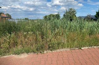 Grundstück zu kaufen in 67133 Maxdorf, Attraktives Baugrundstück in Maxdorf sucht Bauherrn