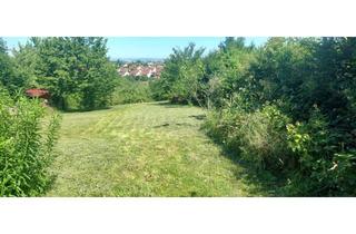 Grundstück zu kaufen in Ob Dem Sandweg, 71364 Winnenden, Top Freizeitgrundstück mit toller Aussicht, Gartenhaus, Grillplatz, Wasser, Obst- und Nussbäumen