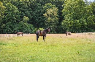 Lager kaufen in 46284 Dorsten, Wohnen auf dem Reiterhof