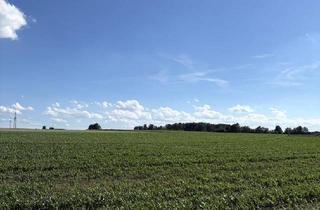 Immobilie kaufen in 86551 Aichach, Ackerfläche in guter Lage - Ideal für Landwirte und Investoren