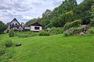 Einfamilienhaus kaufen in 32657 Lemgo, Lemgo - Lemgo-Ortsteil Großes gepflegtes Anwesen am Waldrand