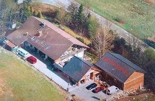 Mehrfamilienhaus kaufen in 74931 Lobbach, Lobbach - Mehrfamilienhaus mit großer Werkhalle - 3.993 m² Grundstück
