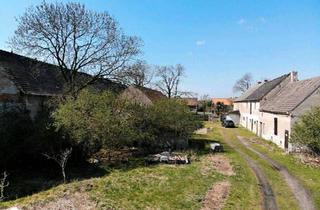Bauernhaus kaufen in 04924 Bad Liebenwerda, Bad Liebenwerda - Renovierungsbedürftig Bauernhof