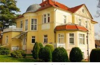 Wohnung kaufen in Pestalozzistraße 42, 08459 Neukirchen, Stilvolle Maisonettewohnung in repräsentativer Villa mit Balkon & Stellplatz in Neukirchen/Pleiße