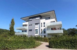Wohnung mieten in 57258 Freudenberg, FREIRAUM4 +++ Schicke Mietwohnung mit Süd-Balkon, Aufzug und TG-Stellplatz