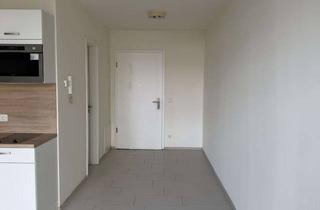 Wohnung mieten in Maximilianstraße 28a, 76829 Landau, Kompaktes 1-Zimmer-Apartment: Ihr neues Zuhause in Landau