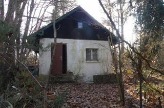 Anlageobjekt in 91227 Leinburg, Seltene Alleinlage: Massiver Altbestand auf 1.740 m² in Leinburg-Gersdorf