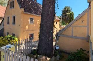 Haus kaufen in 01217 Kleinpestitz/Mockritz, Historisches Gutsarbeiterhaus // Kleines Haus, großer Garten // Idylle in Kaitz